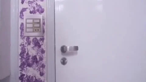 THE LITTLE black BOOK OF ladyboys three - Scene two