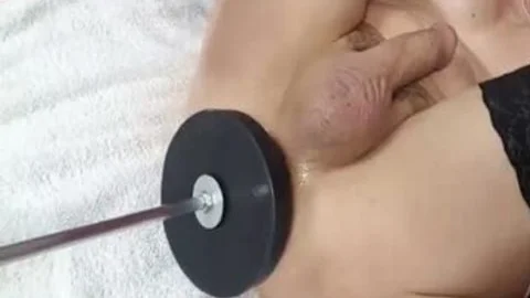 sheboy shelady Using butt toys On lovely ladyboy