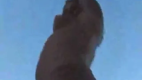 busty latina TS poundls A chap Outdoor