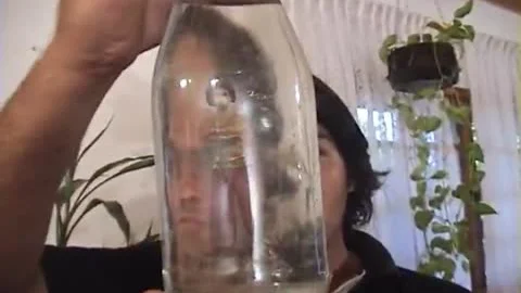 Thellos Genie Grants Their Transexual desirees! - heatwave entertainstudst