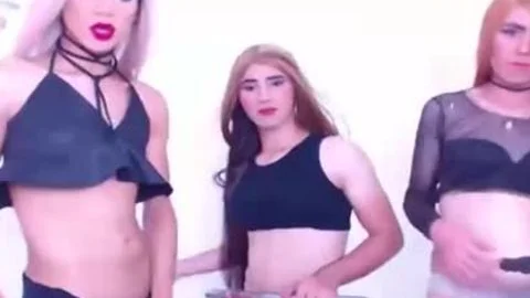 stunning shemales Undressing And Jacking penis