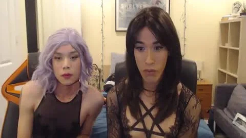 CD bonks CD cam