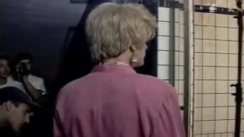 Peli Transex Vintage two