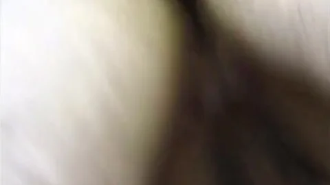 Sabrina acquires It
