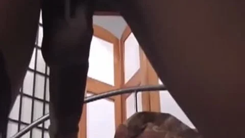 A gigantic dark ladyboy shlong For Your taut arse